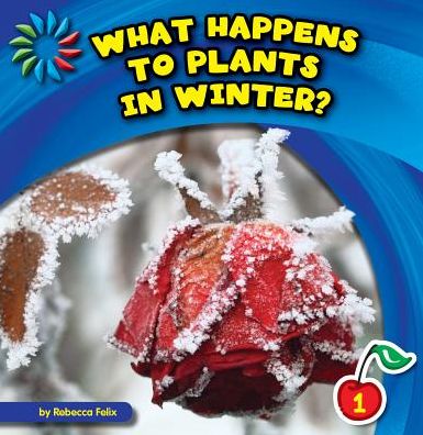 What Happens to Plants in Winter?