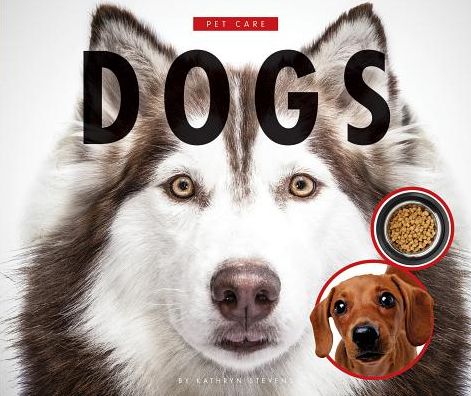 Dogs