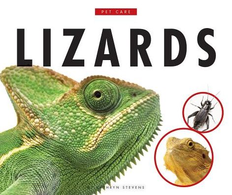 Lizards