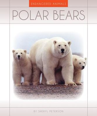 Polar Bears