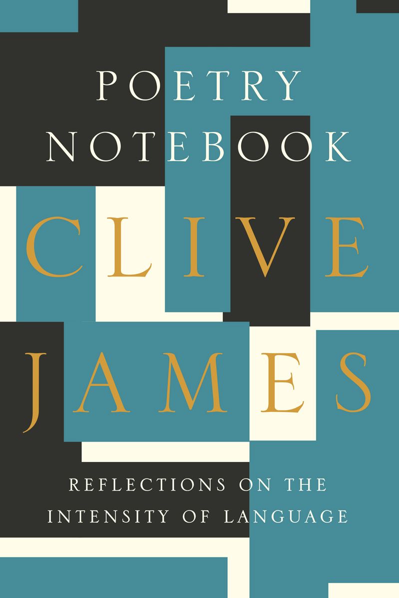 Poetry Notebook : Reflections on the Intensity of Language