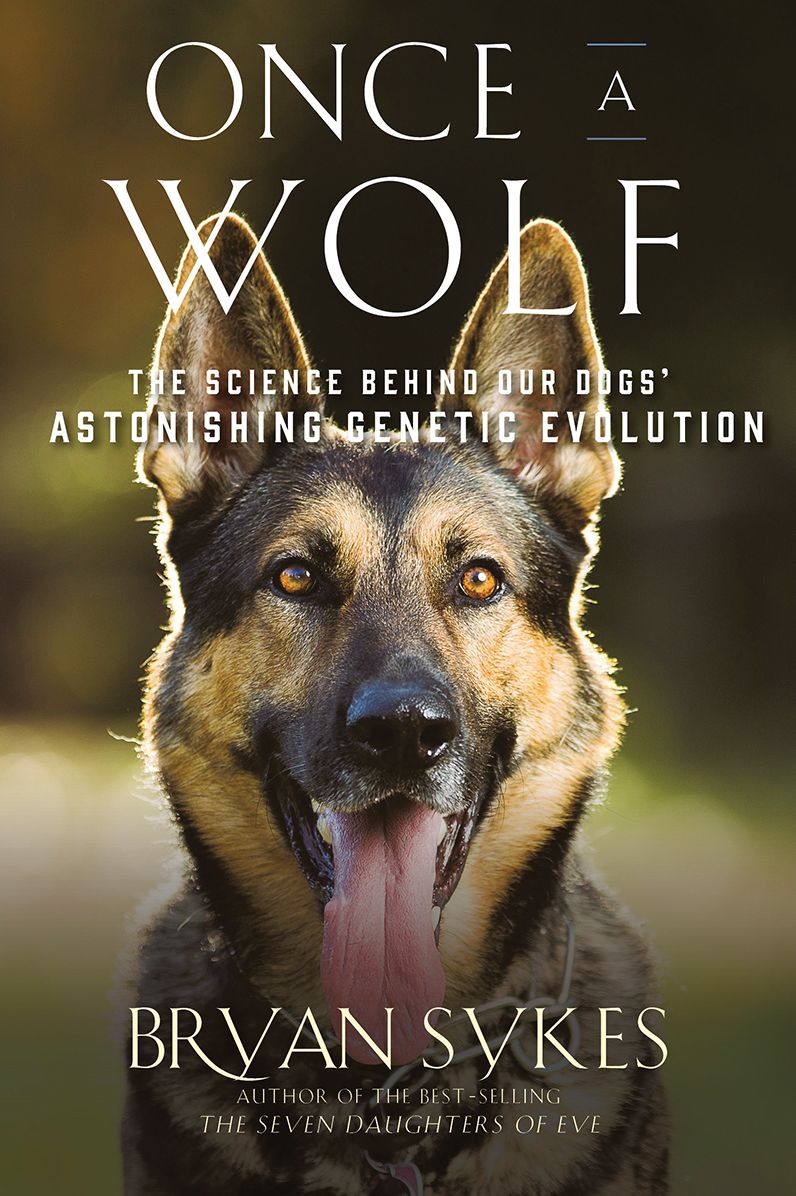 Once a Wolf: The Science that Reveals Our Dogs' Genetic Ancestry