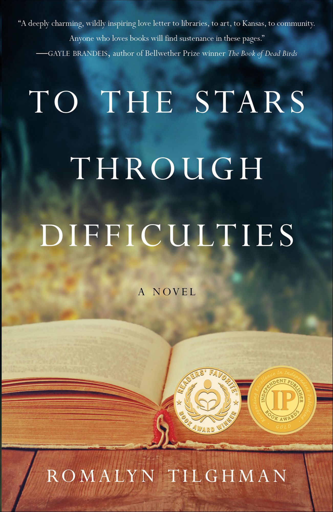 To The Stars Through Difficulties: A Novel
