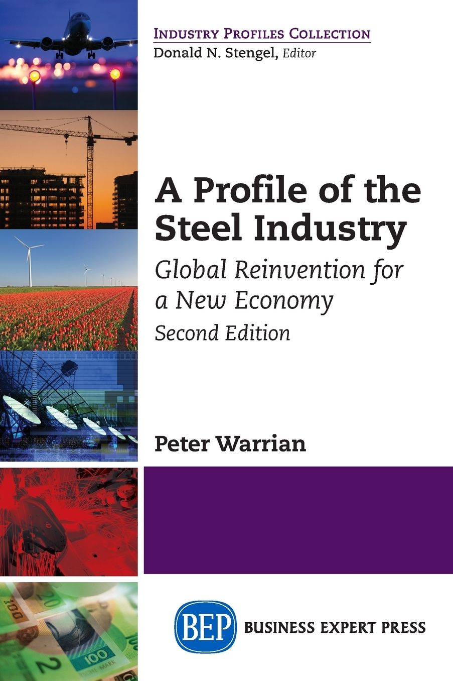 A Profile of the Steel Industry: Global Reinvention for a New Economy, Second Edition