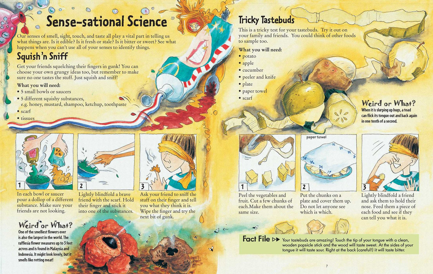 The Grossology Handbook: 66 Gruesome Science and Awesome Art Activities
