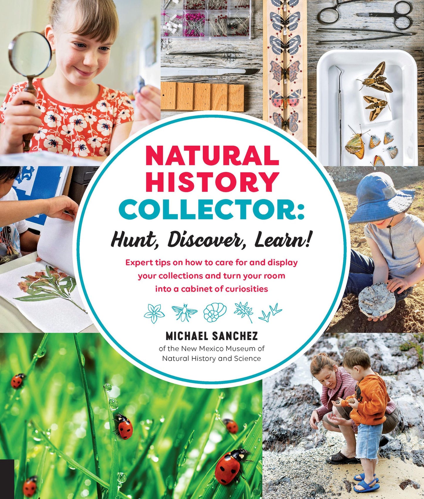 Natural History Collector: Hunt, Discover, Learn!: Expert Tips on how to care for and display your collections and turn your room into a cabinet of curiosities.