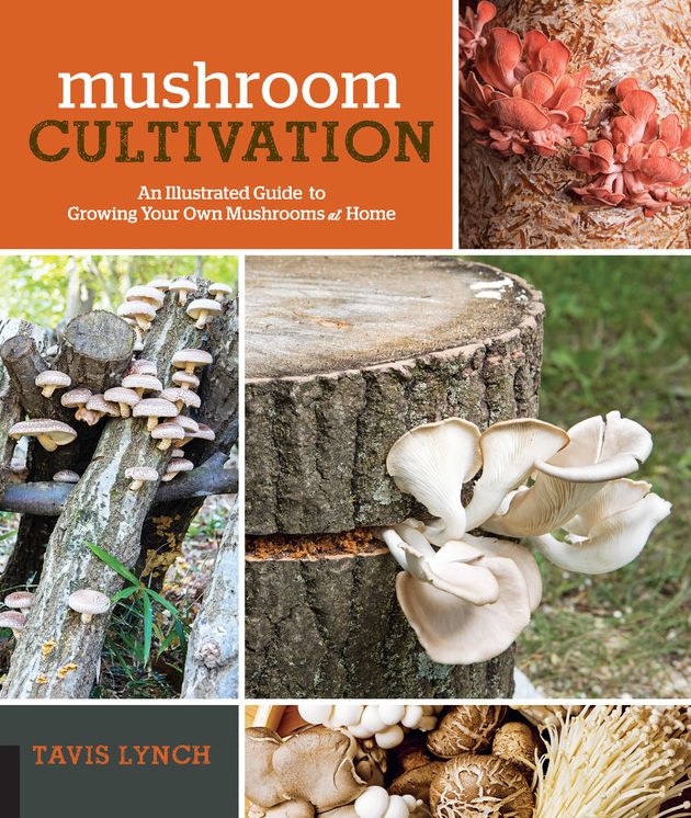 Mushroom Cultivation: An Illustrated Guide to Growing Your Own Mushrooms at Home