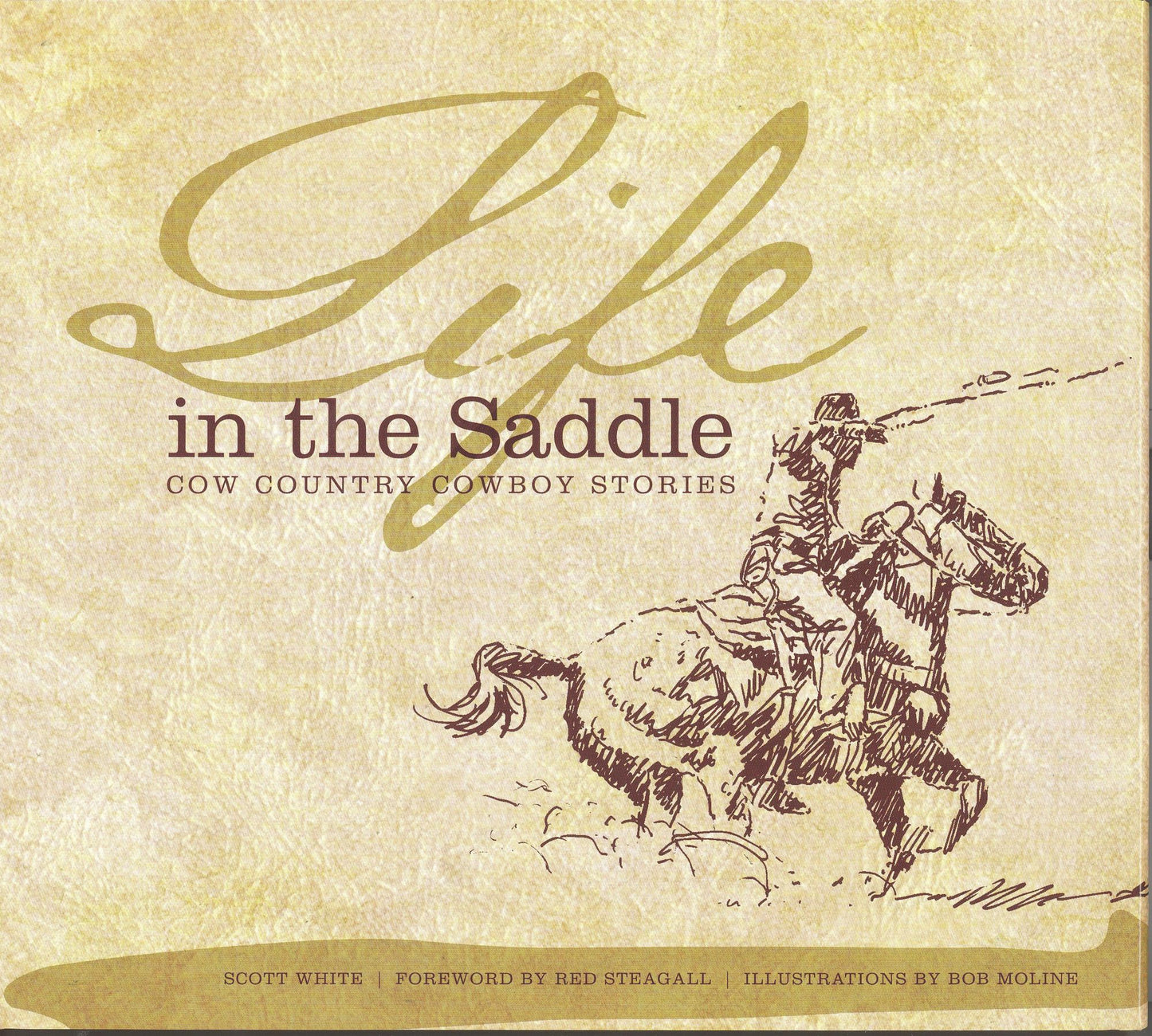 Life in the Saddle: Cow Country Cowboy Stories