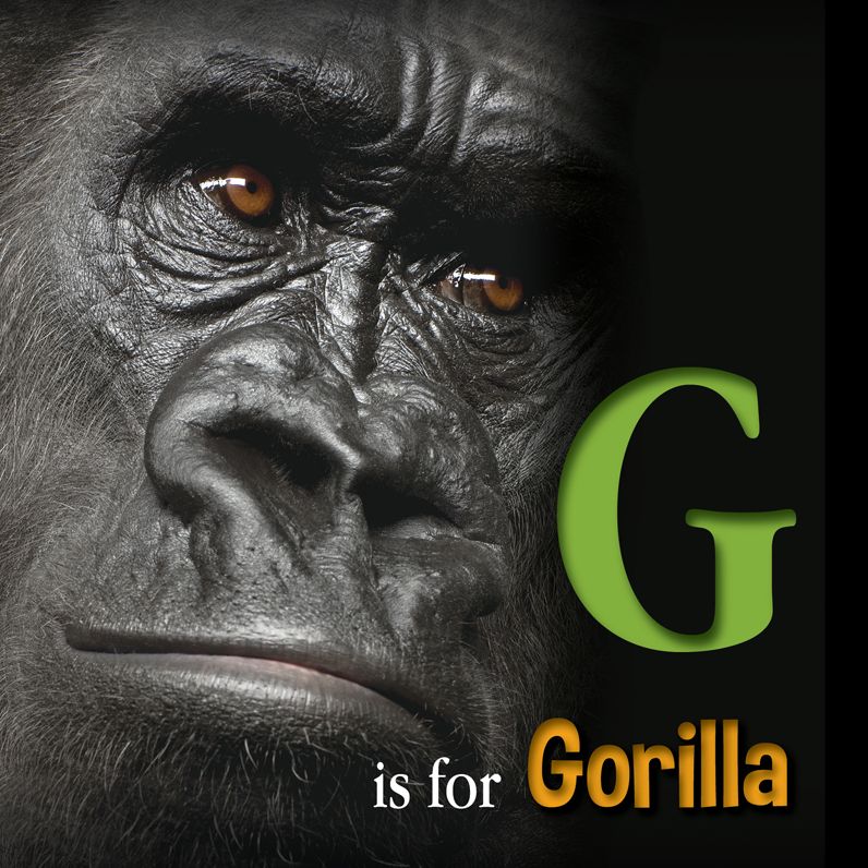 G Is for Gorilla