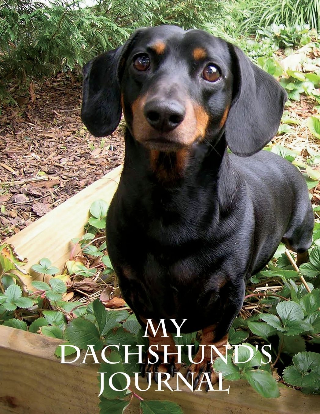 My Dachshund's Journal: Building Memories One Day at a Time