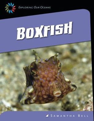 Boxfish