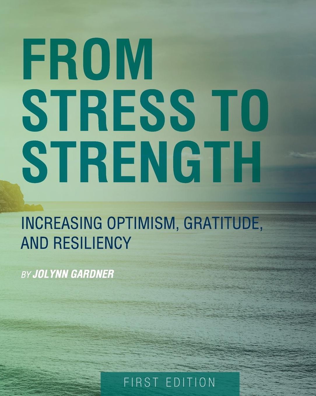 From Stress to Strength: Increasing Optimism, Gratitude, and Resiliency (First Edition)