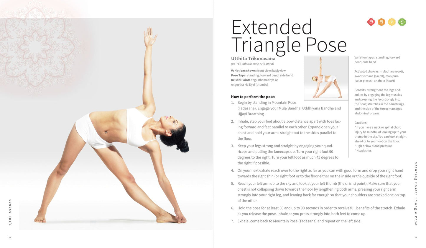 2,100 Asanas: The Complete Yoga Poses