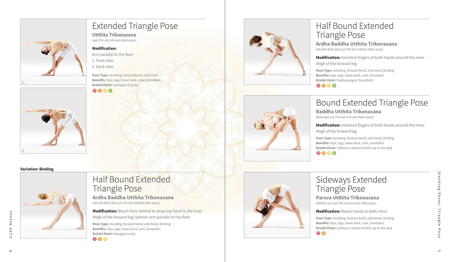 2,100 Asanas: The Complete Yoga Poses