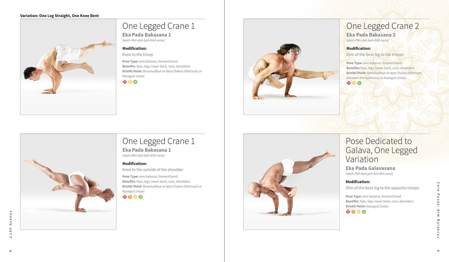 2,100 Asanas: The Complete Yoga Poses