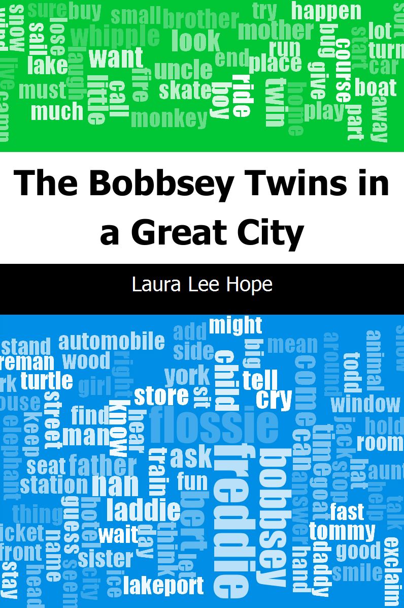 The Bobbsey Twins in a Great City