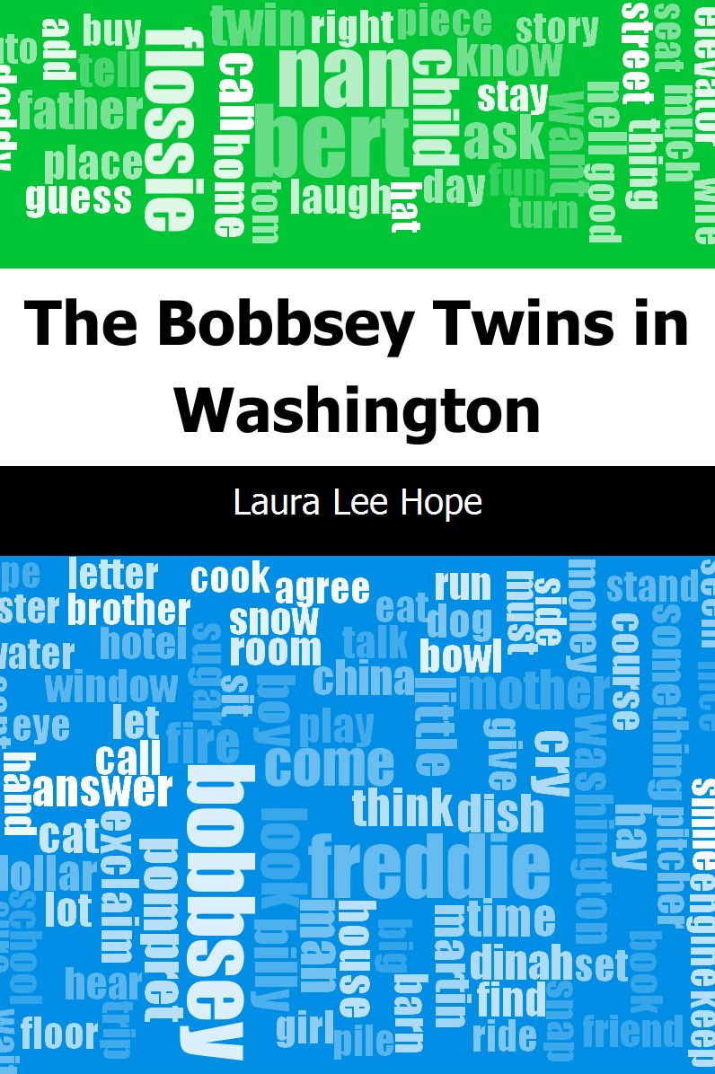 The Bobbsey Twins in Washington