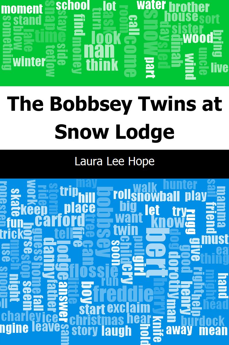 The Bobbsey Twins at Snow Lodge