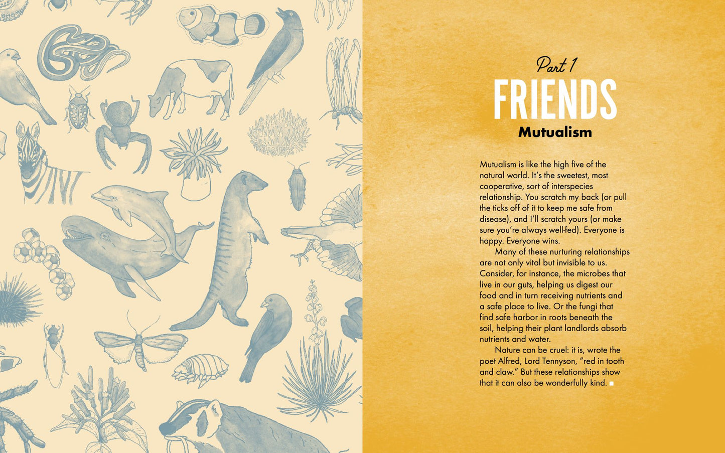 Natural Attraction: A Field Guide to Friends, Frenemies, and Other Symbiotic Animal Relationships