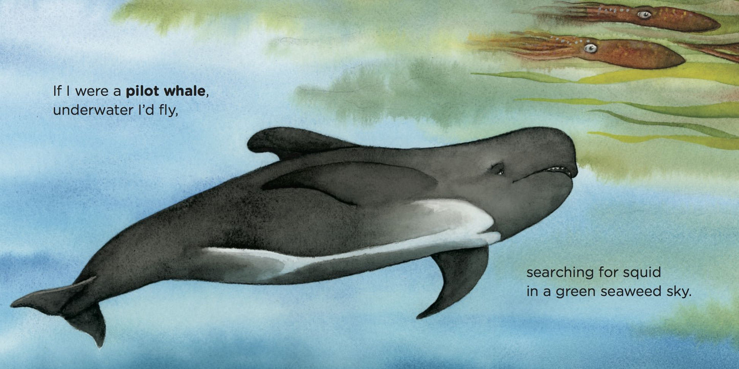 If I Were a Whale