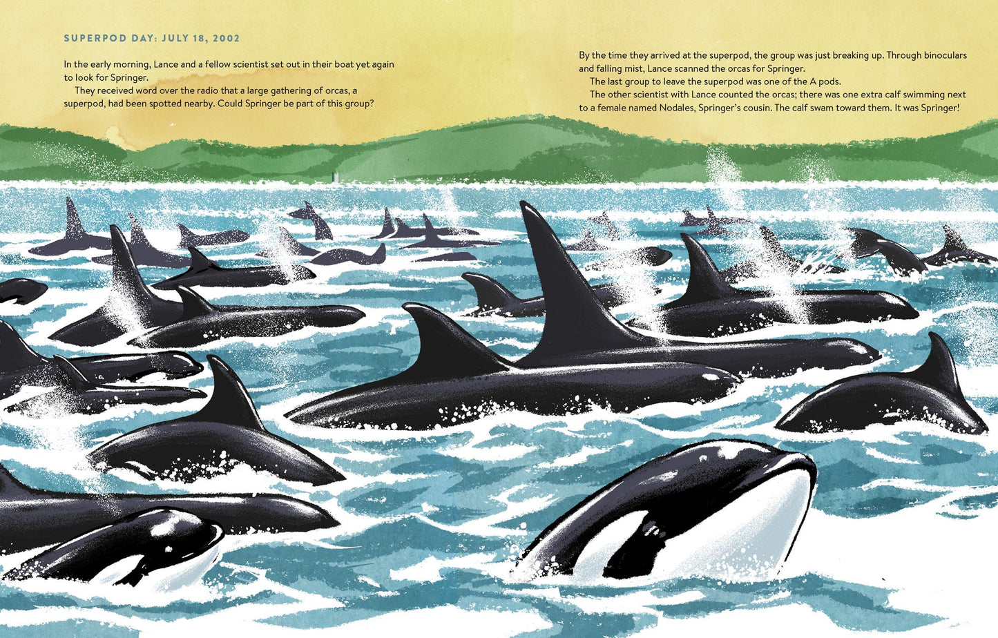 The Spirit of Springer : The Real-life Rescue of an Orphaned Orca