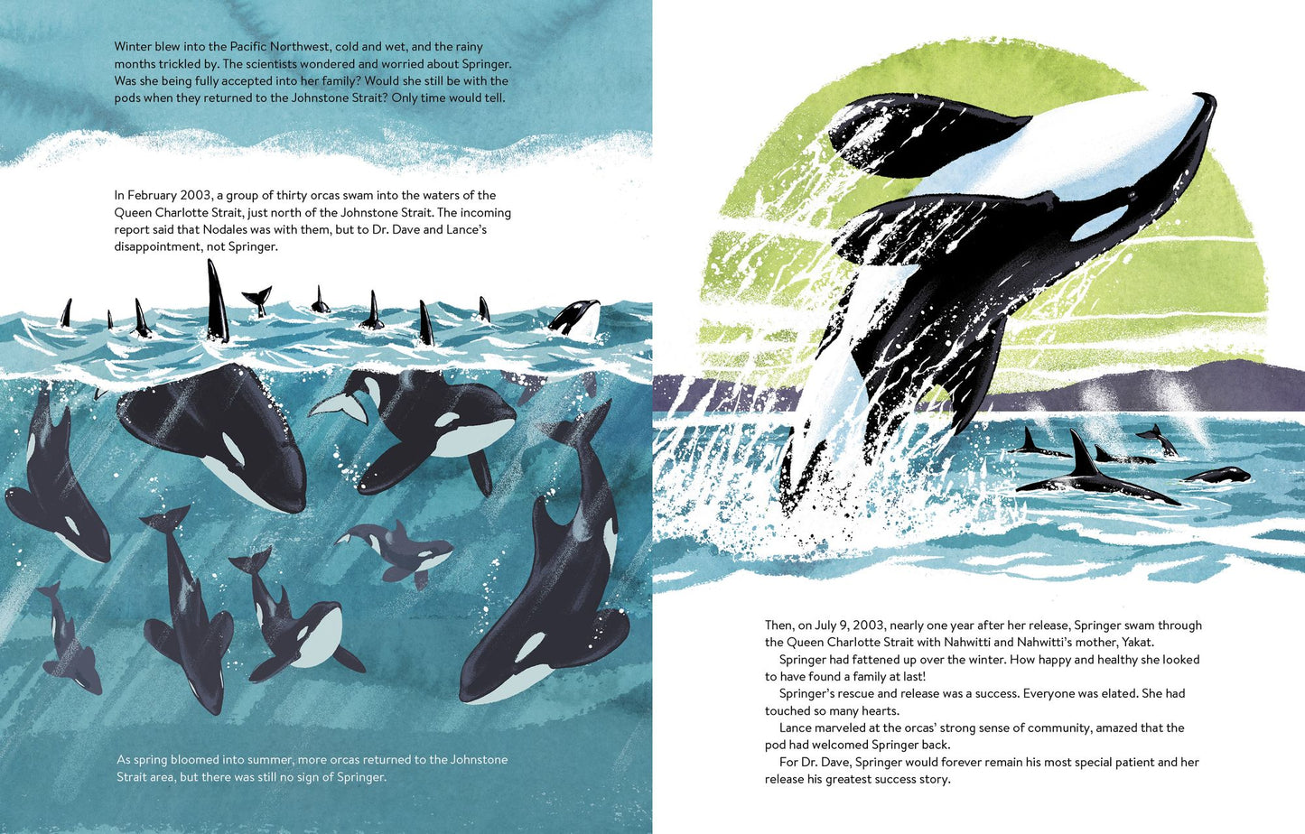 The Spirit of Springer : The Real-life Rescue of an Orphaned Orca