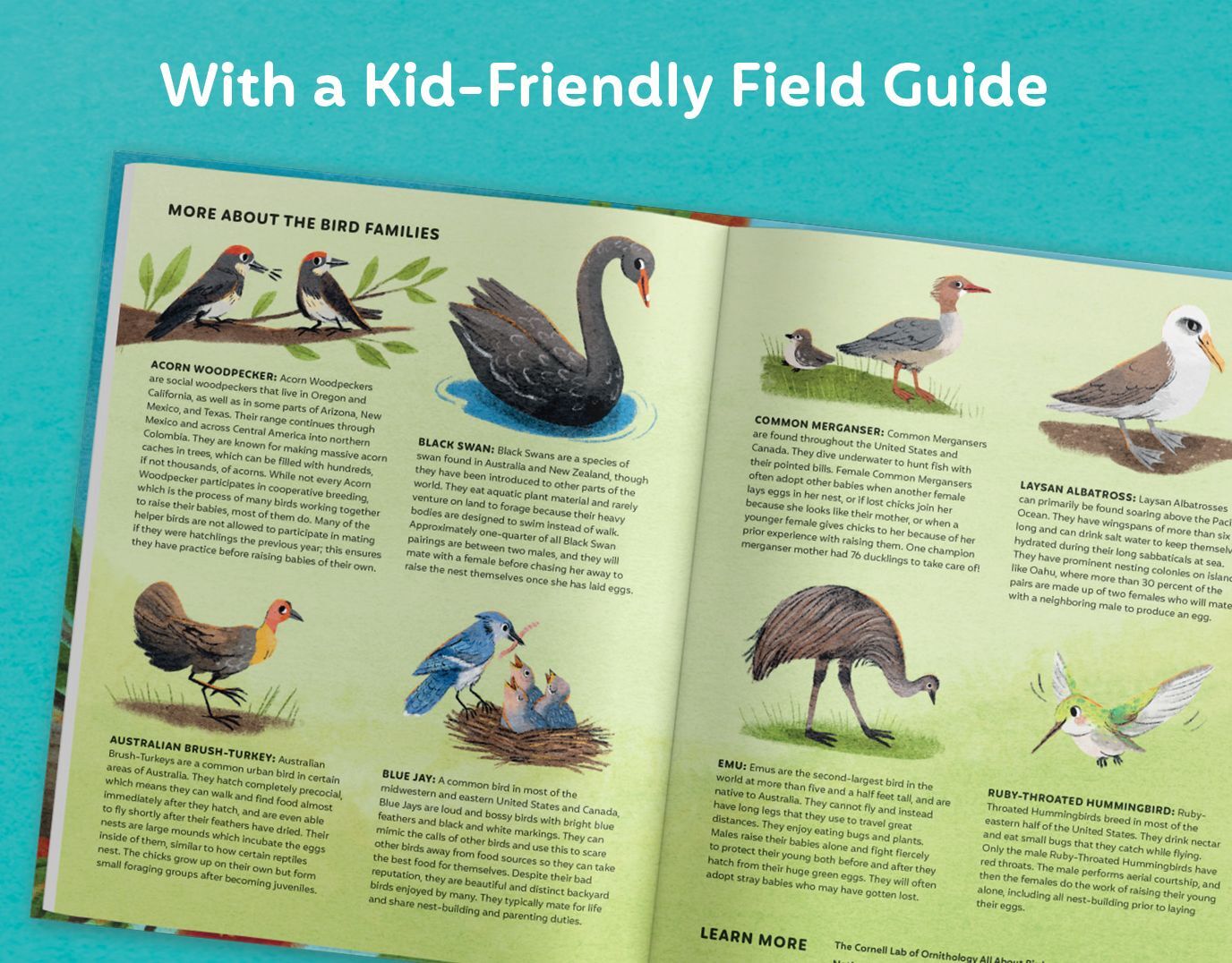 Families of a Feather: A Celebration of Family Diversity