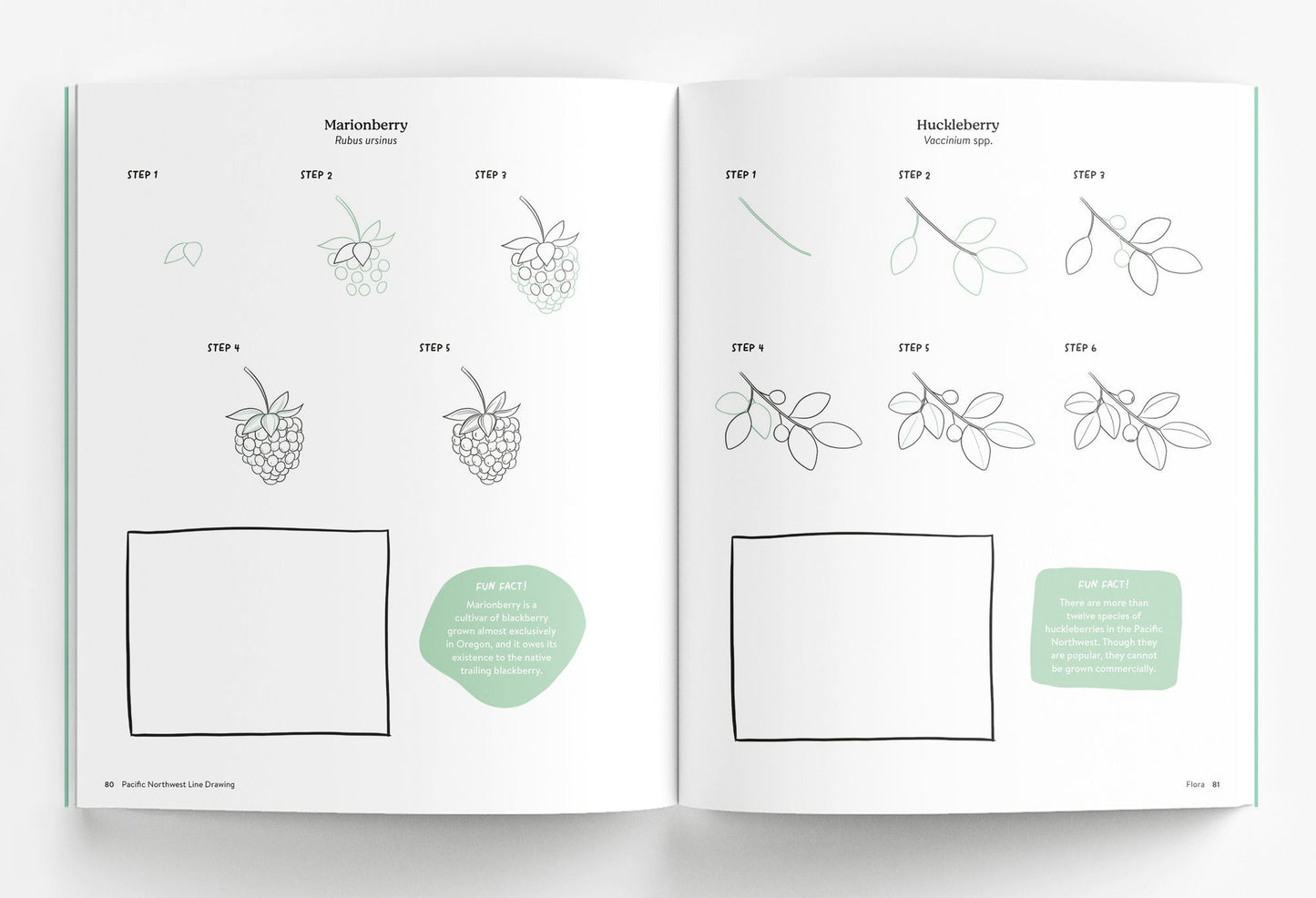 Pacific Northwest Line Drawing: How to Draw Flowers, Trees, Mushrooms, Birds, Animals, Landmarks, and More