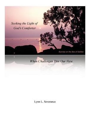 Seeking the Light of God's Comforter - When Challenges Dim Our View