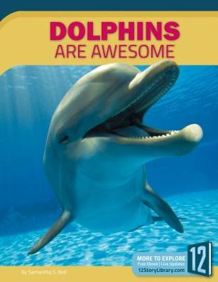 Dolphins Are Awesome