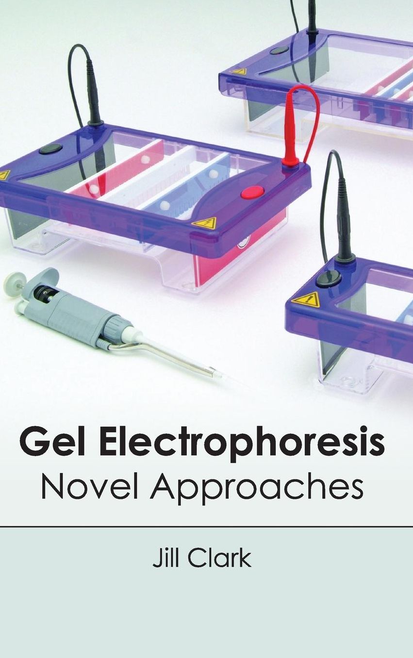 Gel Electrophoresis: Novel Approaches