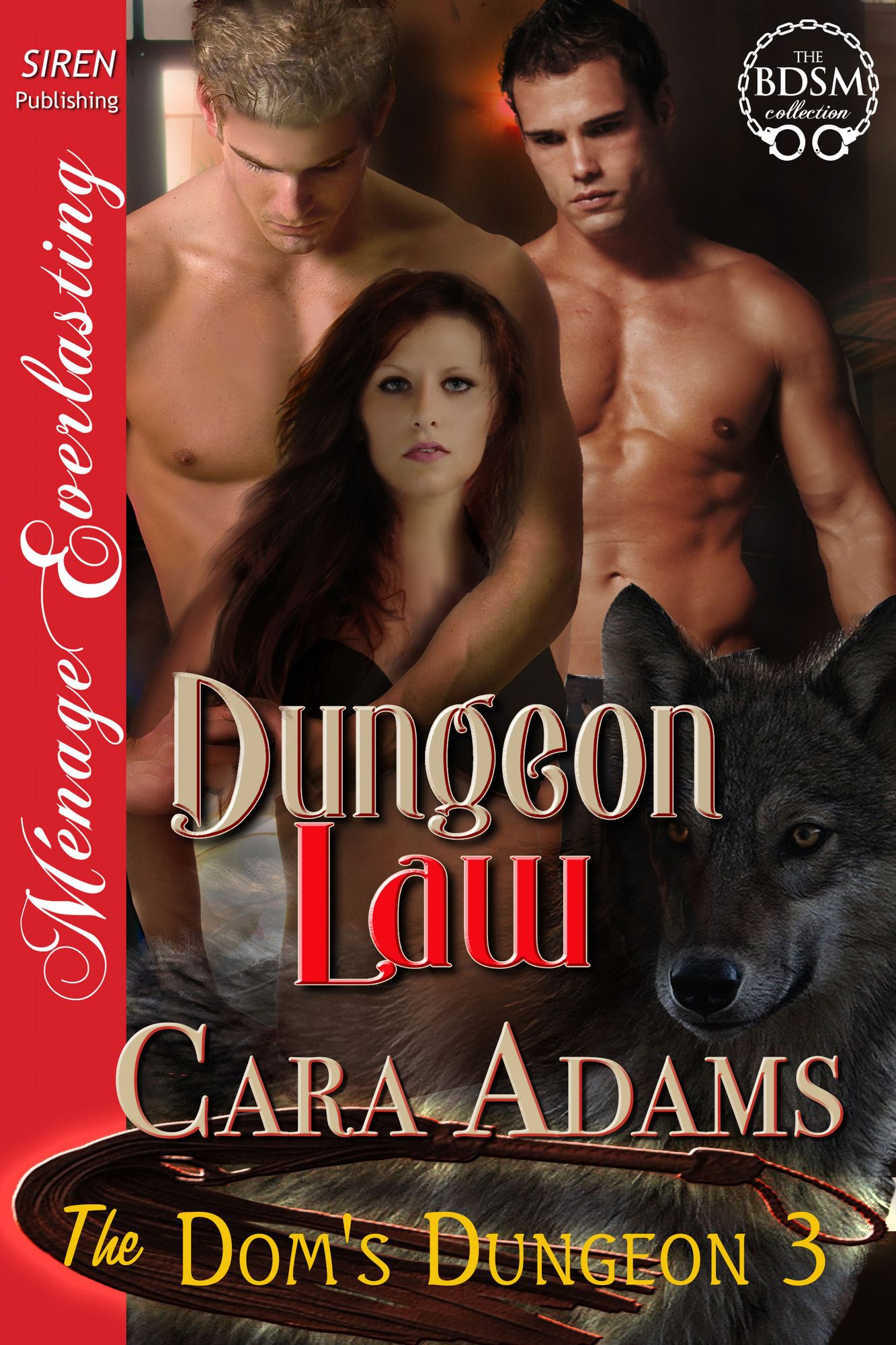 Dungeon Law [The Dom's Dungeon 3] (Siren Publishing Menage Everlasting)