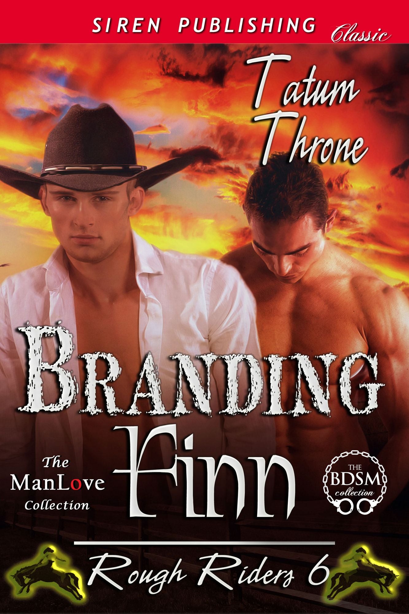Branding Finn [Rough Riders 6] (Siren Publishing Classic ManLove)