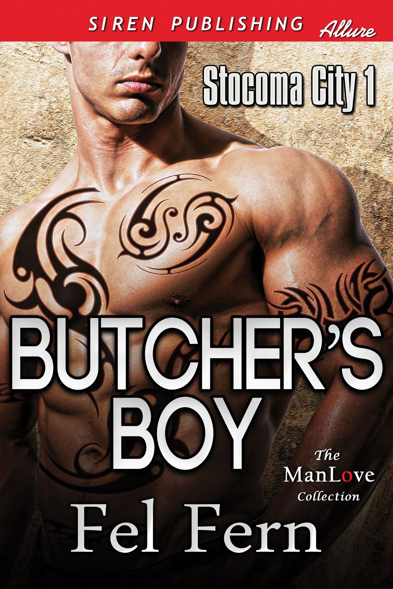 Butcher's Boy [Stocoma City 1] (Siren Publishing Allure ManLove)