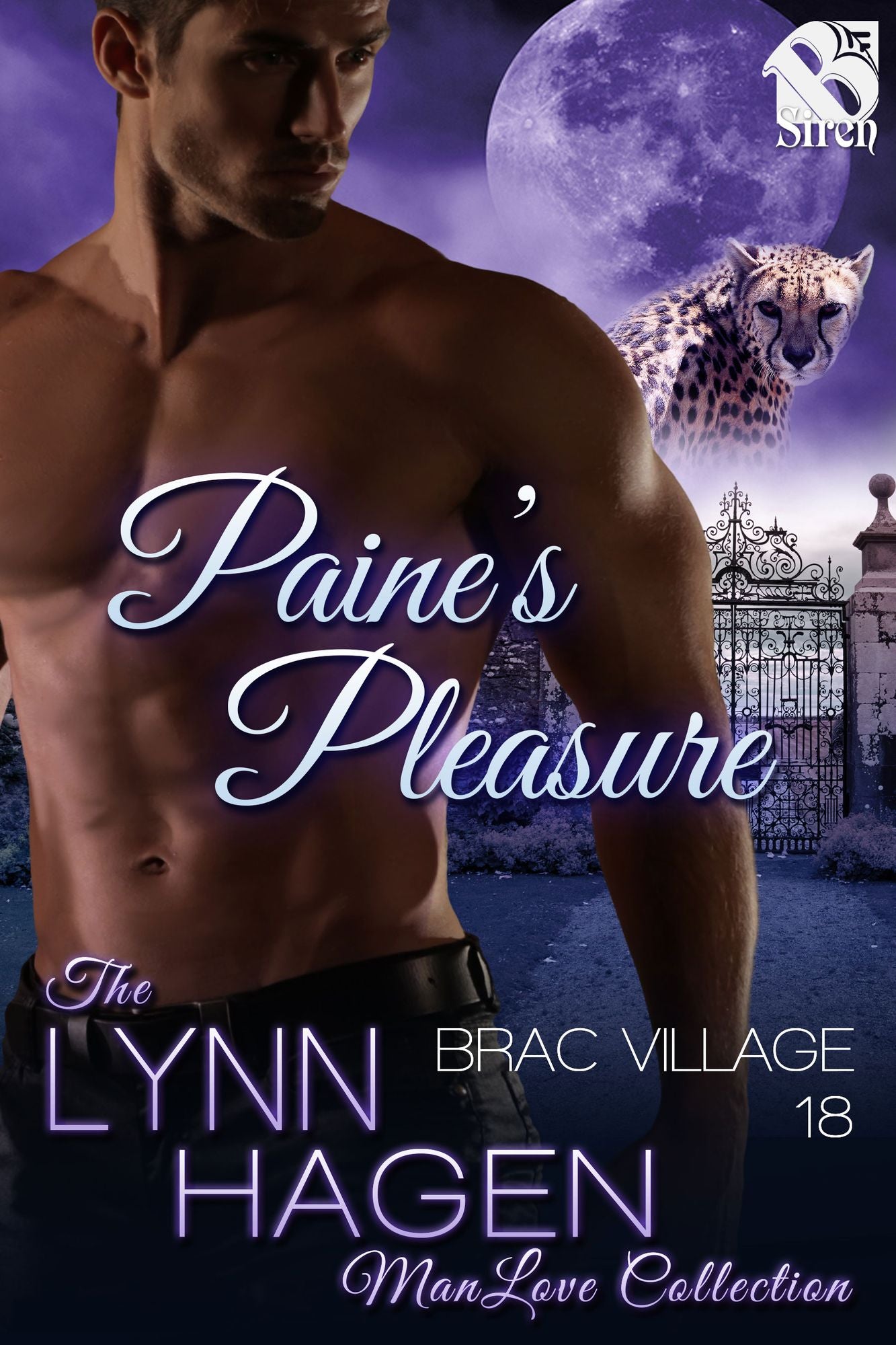 Paine's Pleasure [Brac Village 18] (Siren Publishing The Lynn Hagen ManLove Collection)