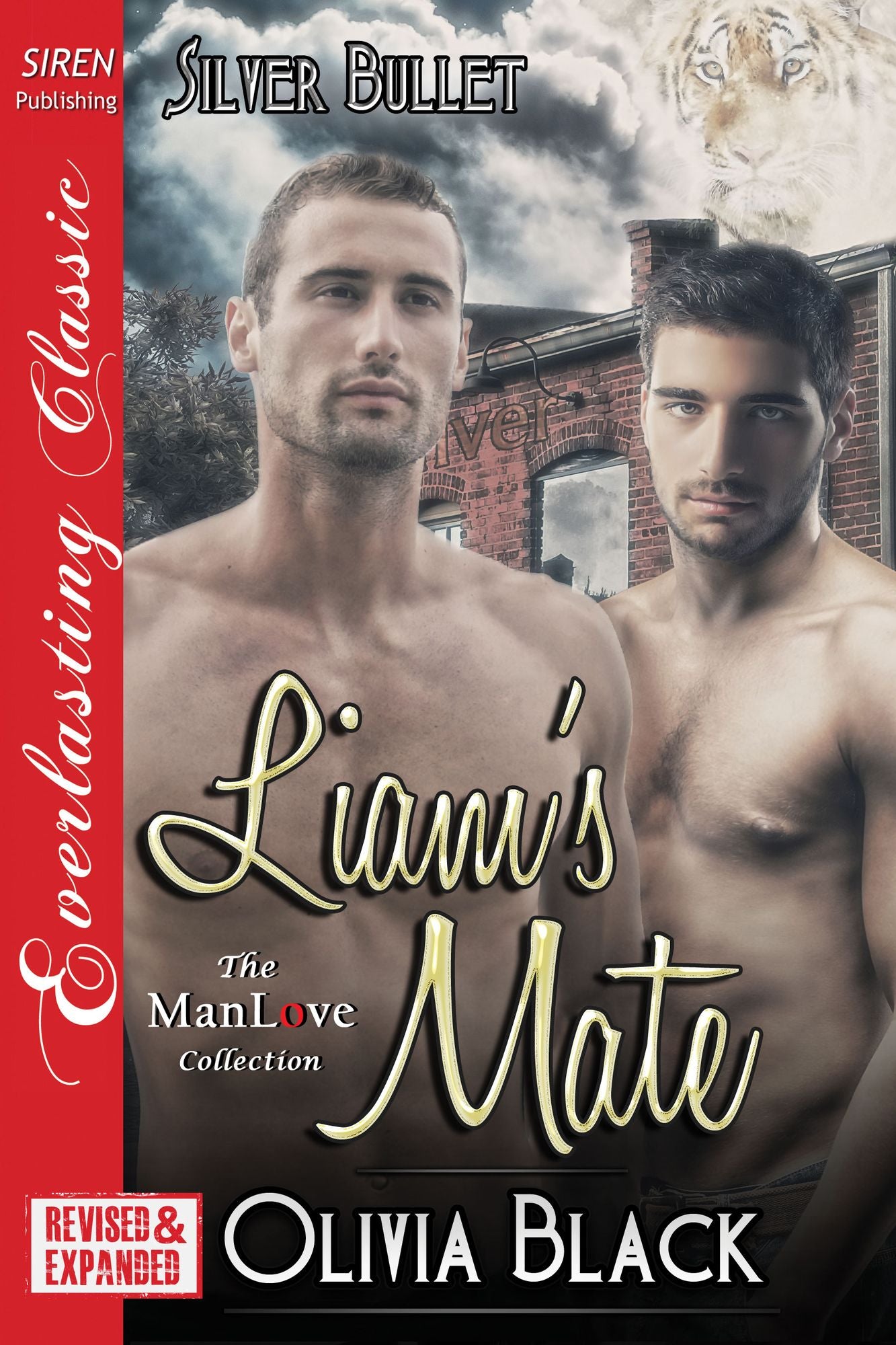 Liam's Mate [EXTENDED APP] [Silver Bullet] (Siren Publishing Everlasting Classic ManLove)