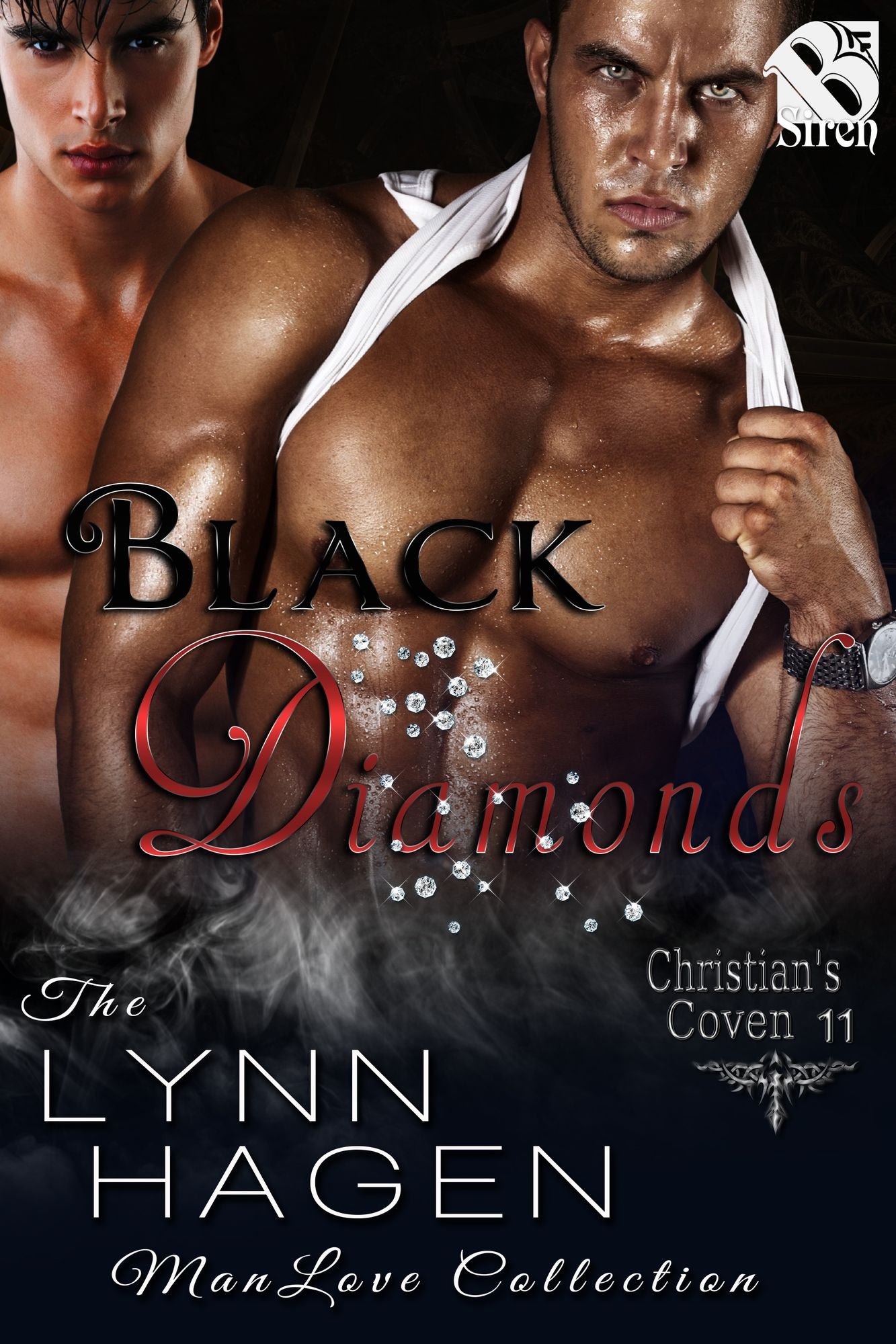 Black Diamonds [Christian's Coven 12] (Siren Publishing The Lynn Hagen ManLove Collection)