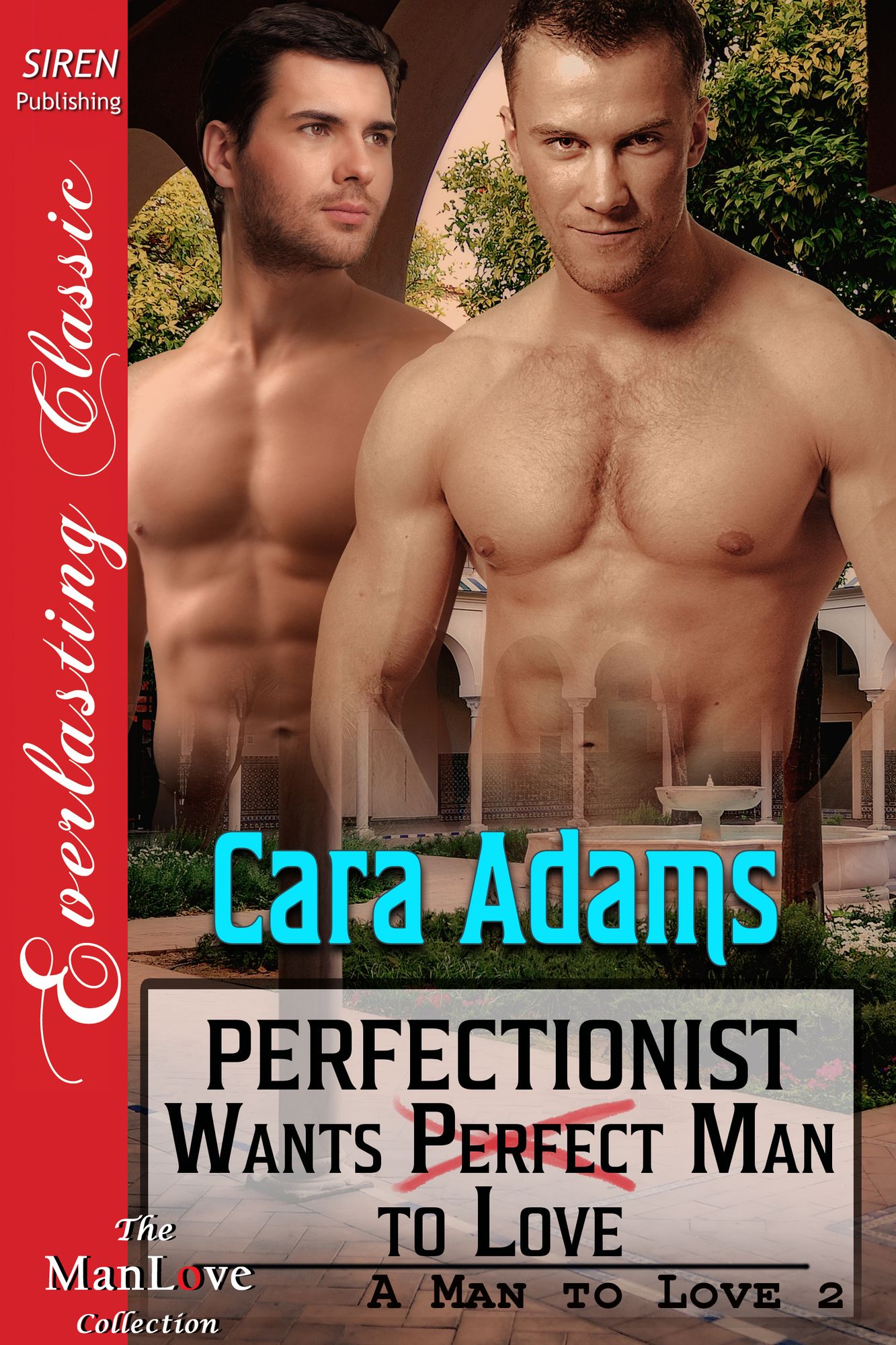 Perfectionist Wants Perfect Man to Love [A Man to Love 2] (Siren Publishing Everlasting Classic ManLove)