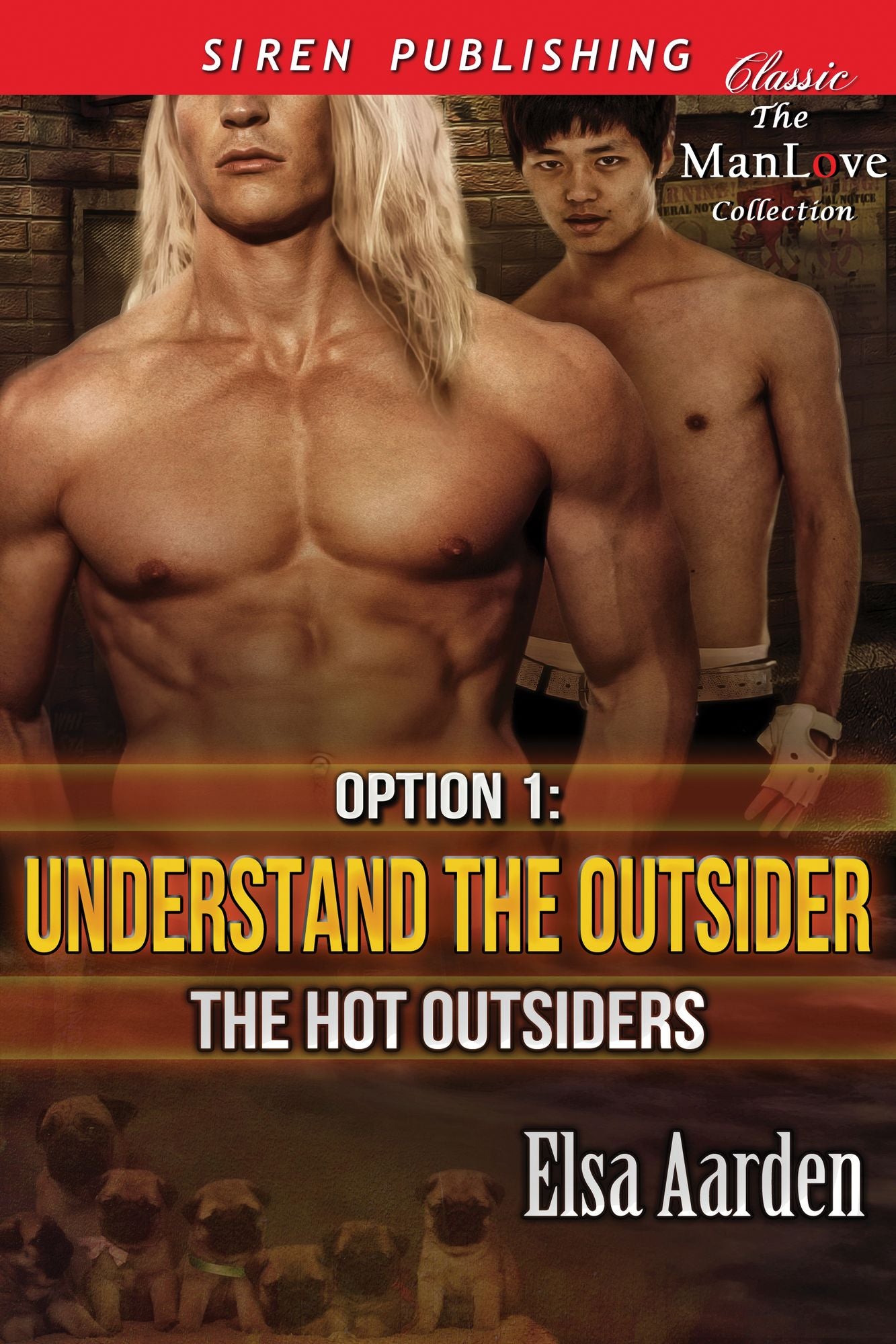 Option 1: Understand the Outsider [The Hot Outsiders 1] (Siren Publishing Classic ManLove)