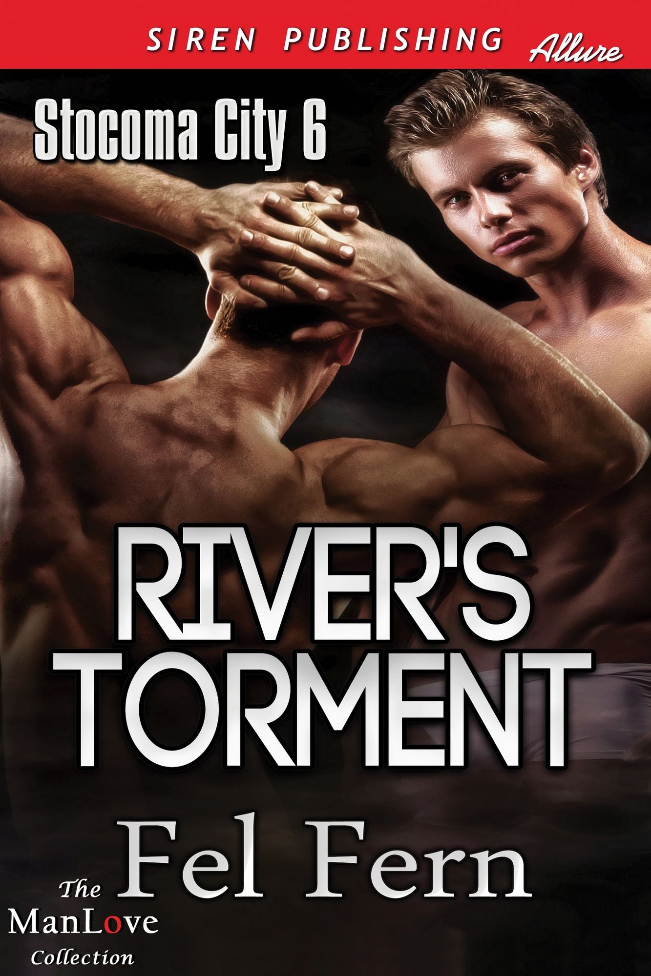 River's Torment [Stocoma City 6] (Siren Publishing Allure ManLove)