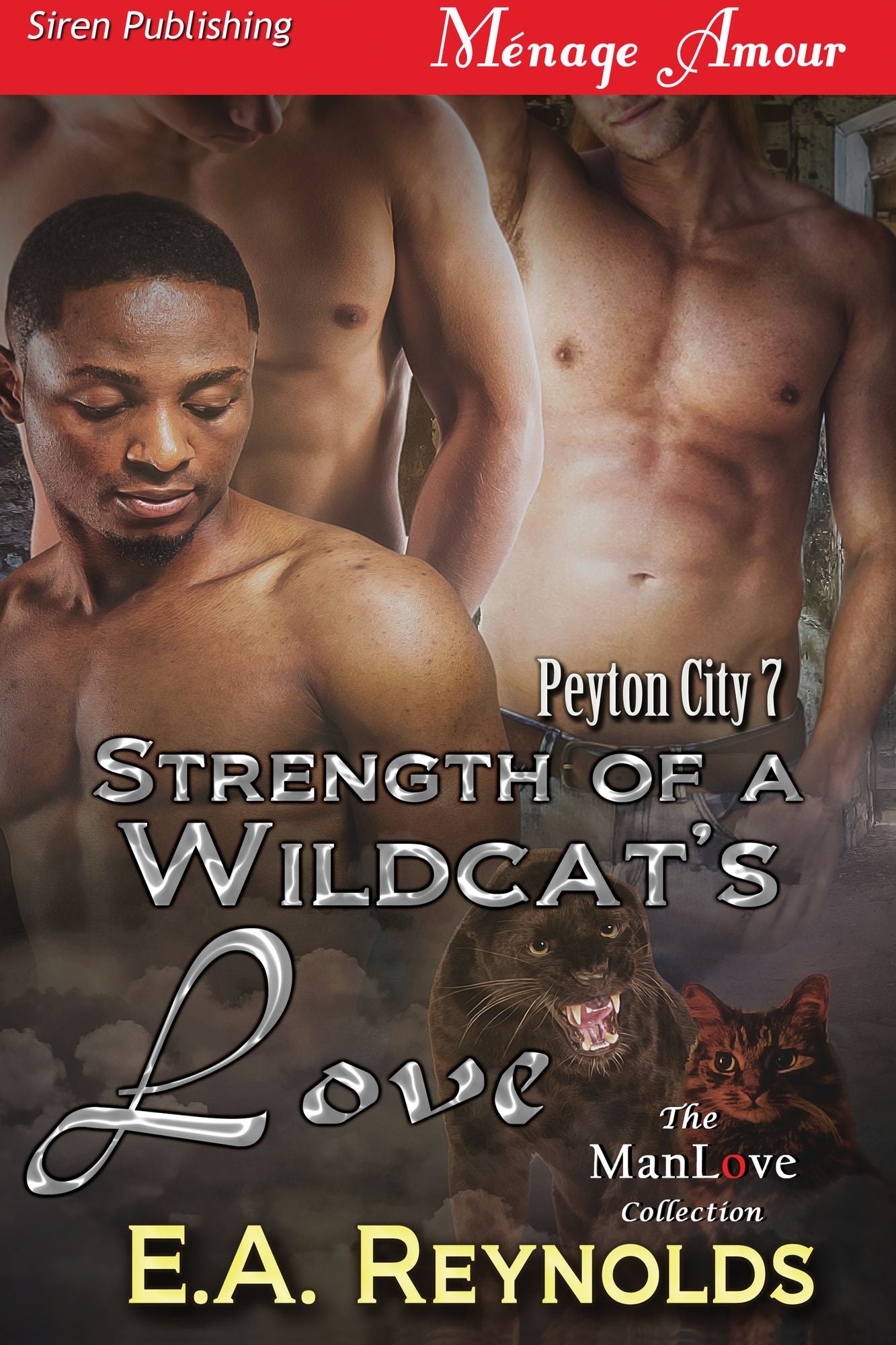 Strength of a Wildcat's Love [Peyton City 7] (Siren Publishing Menage Amour ManLove)