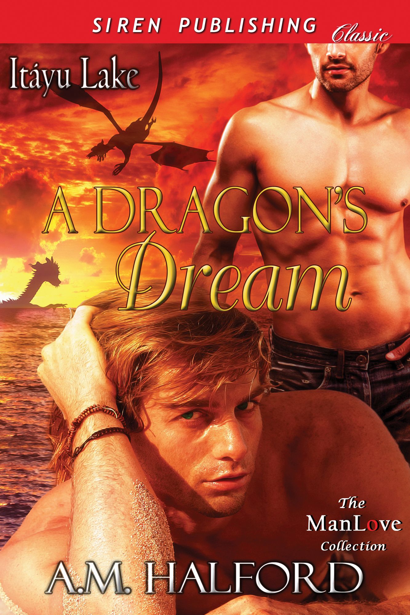 A Dragon's Dream [Itayu Lake] (Siren Publishing Classic ManLove)