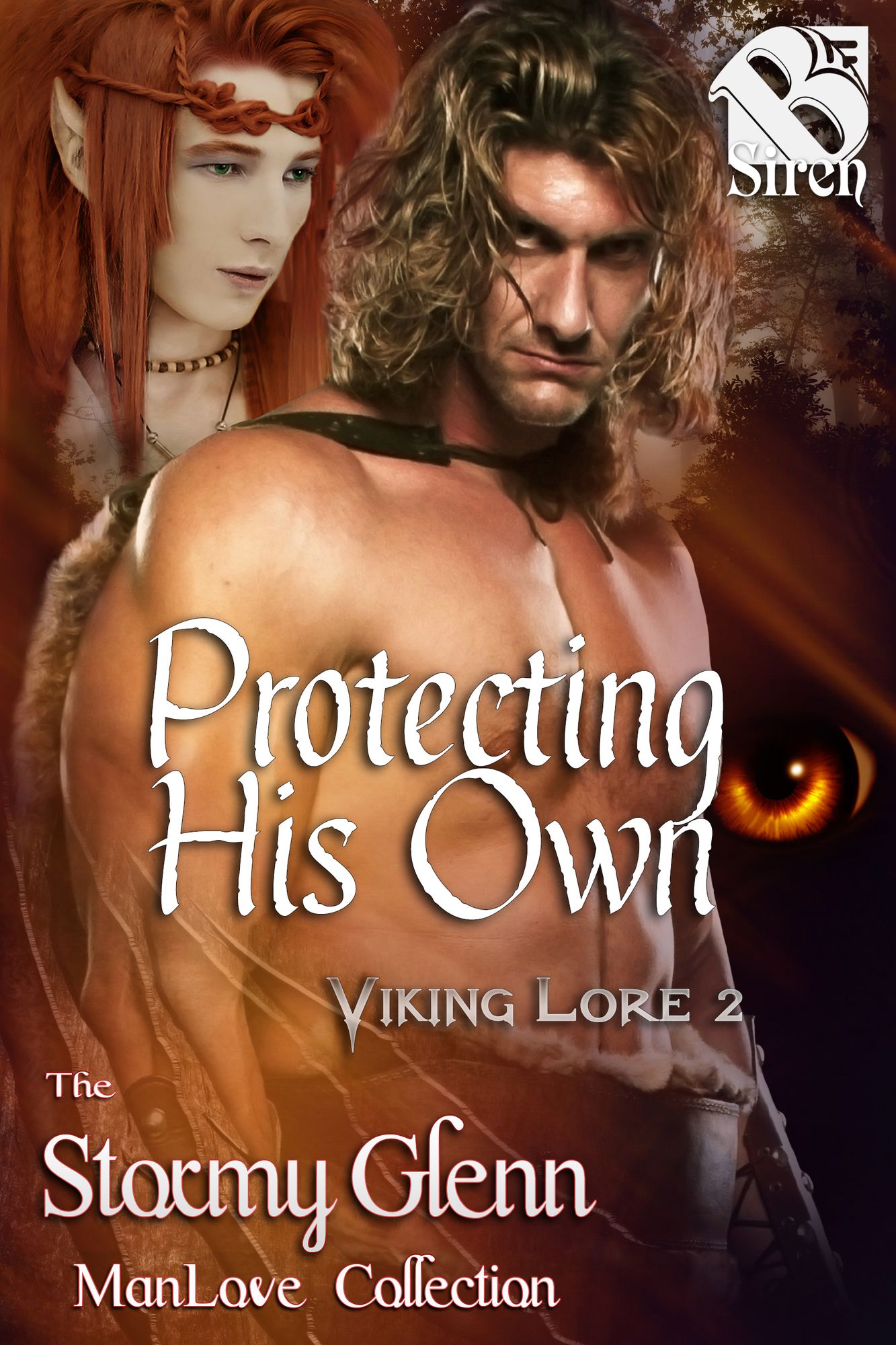 Protecting His Own [Viking Lore 2] (Siren Publishing The Stormy Glenn ManLove Collection)
