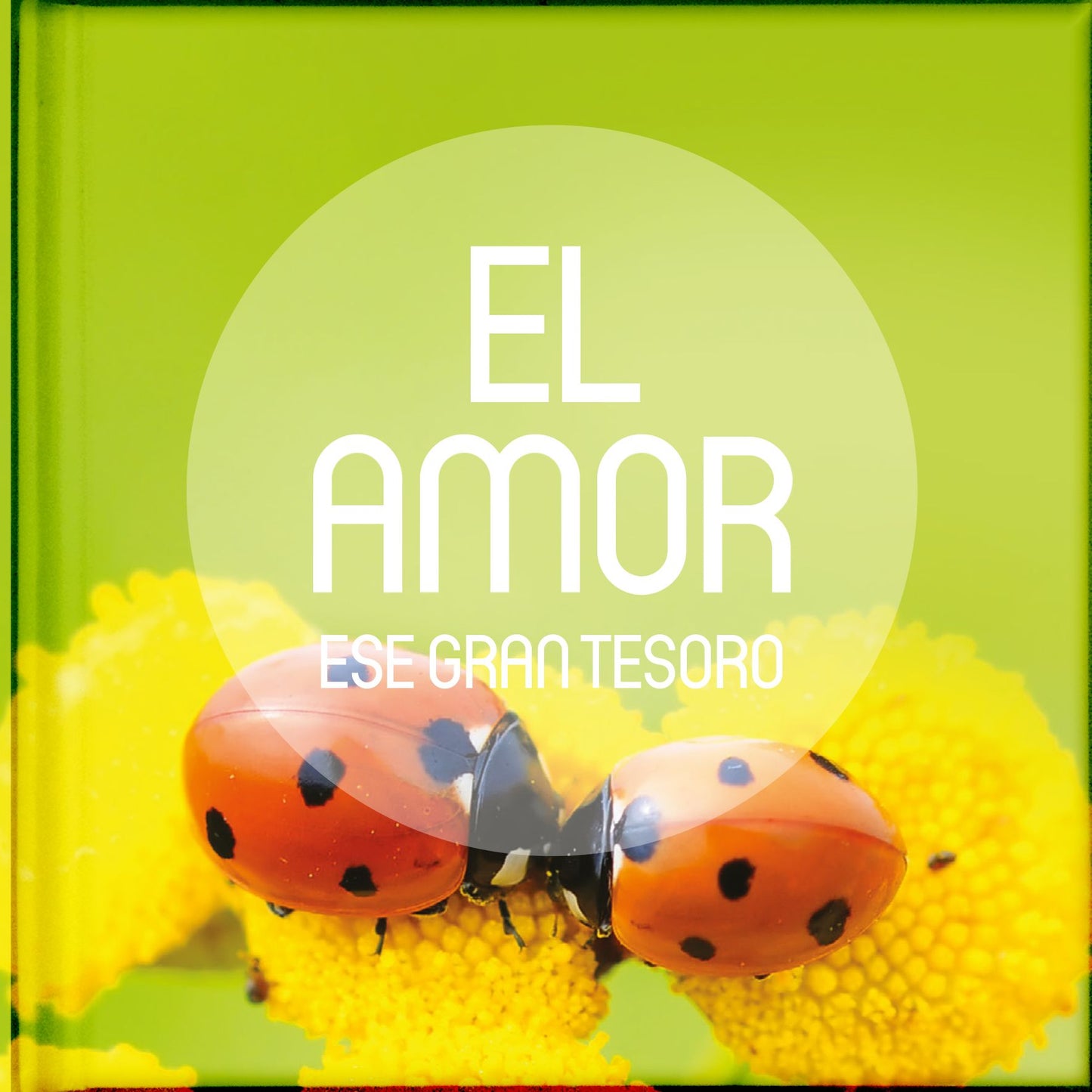 El Amor, ese gran tesoro: Antologías de relatos, reflexiones, poesías, pasajes bíblicos y frases célebres sobre cinco grandes tesorosde la vida, ideales para cuando se quiere uno apartar por unos momentos del ajetreo