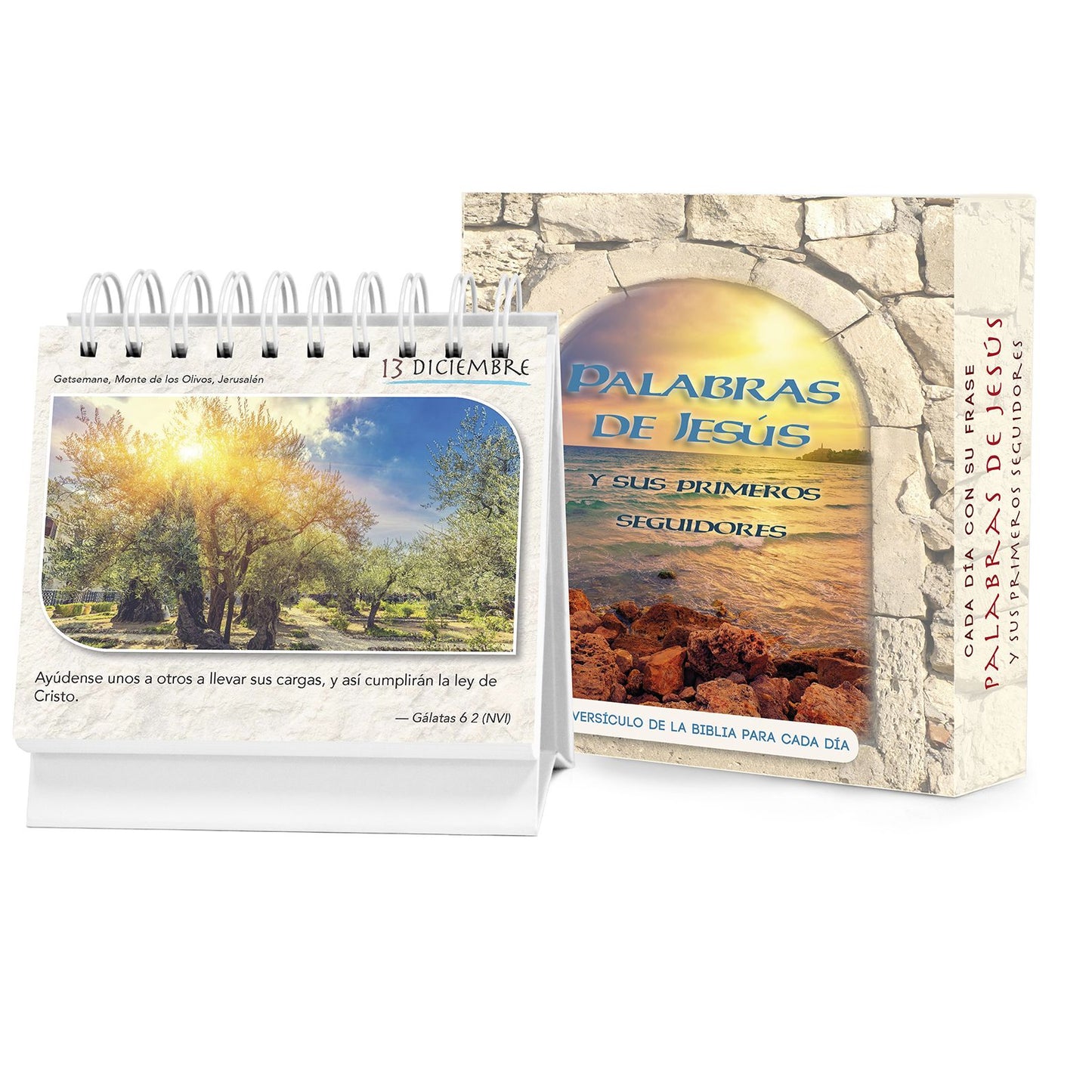 Palabras de Jesus y Sus Primeros Seguidores: Una Edicion Especial de la Inspiradora Serie Cada Dia Con Su Frase, de Calendarios de Escritorio Perpetuo