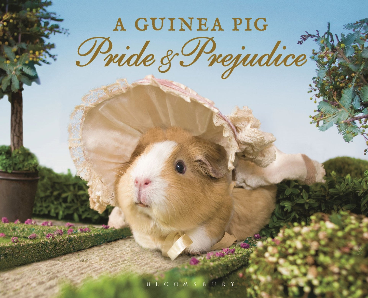 A Guinea Pig Pride Prejudice
