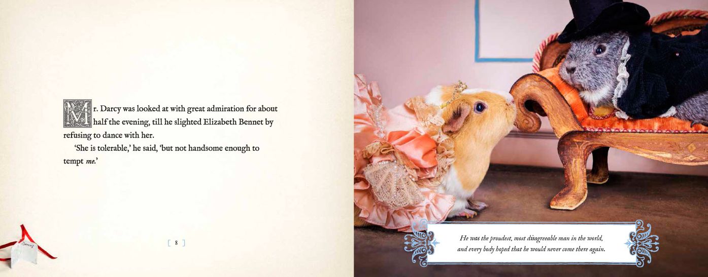 A Guinea Pig Pride Prejudice
