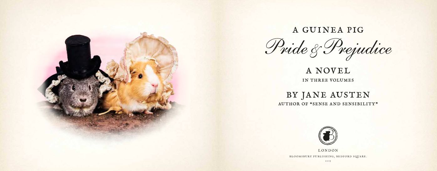 A Guinea Pig Pride Prejudice