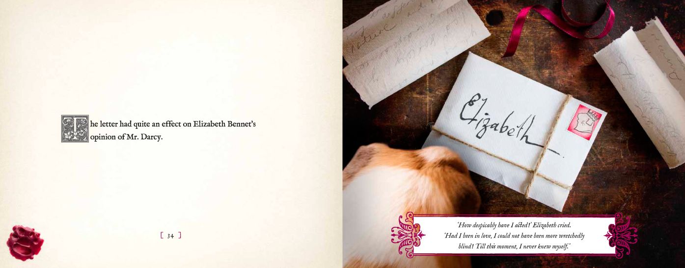 A Guinea Pig Pride Prejudice