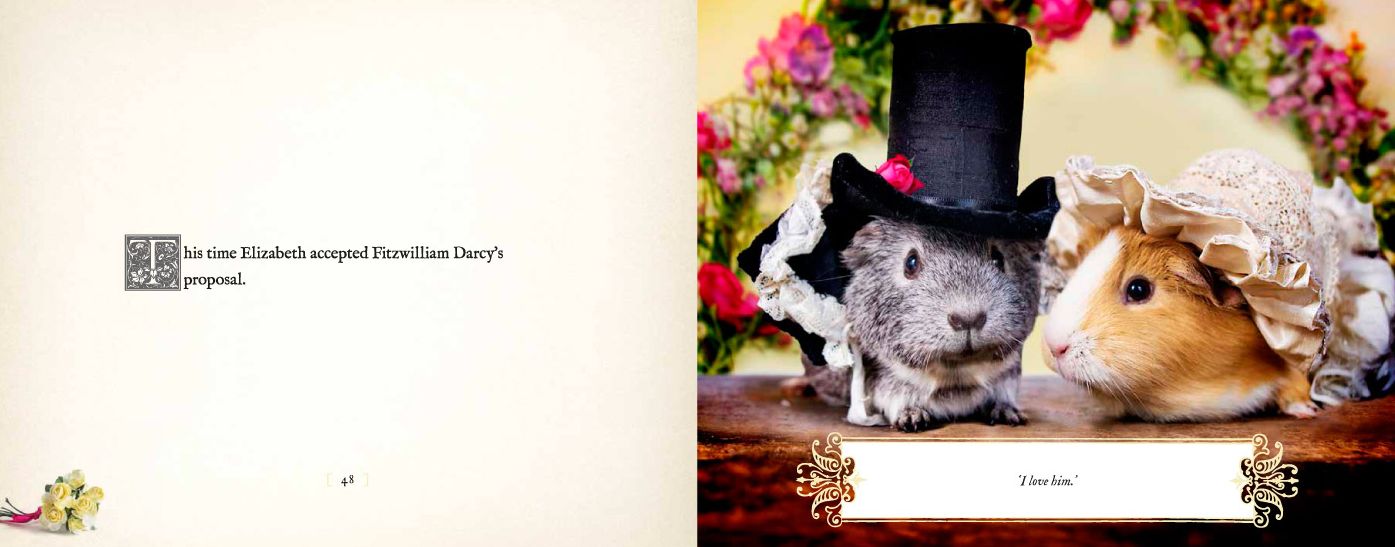A Guinea Pig Pride Prejudice